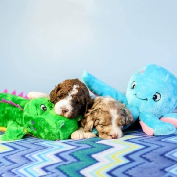 ZippyPaws Grunterz Alvin the Alligator Plush Dog 19" Toy NWT/NEW! - Picture 6 of 14